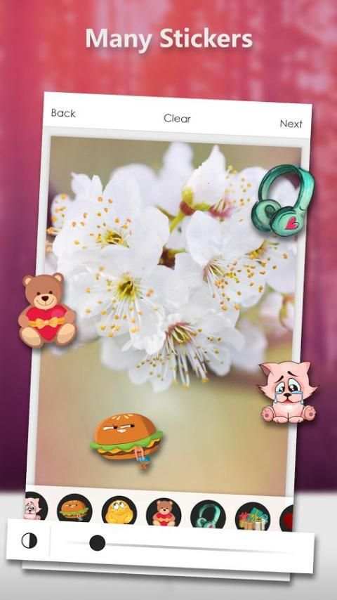 DSLR Camera Photo Effects Magic screenshot 2