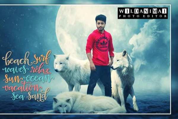 Wild Animal Photo Editor 1 تصوير الشاشة