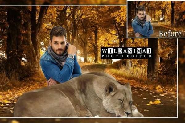 Wild Animal Photo Editor 3 تصوير الشاشة