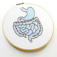 Digestive System Quiz