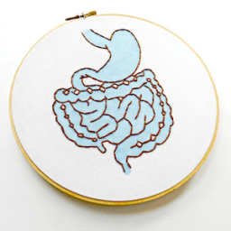 ikon Digestive System Quiz