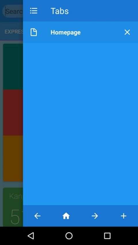 Internet Browser screenshot 2