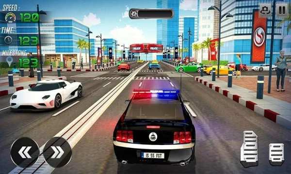 Virtual Police Driving Simulator 2018 20 تصوير الشاشة