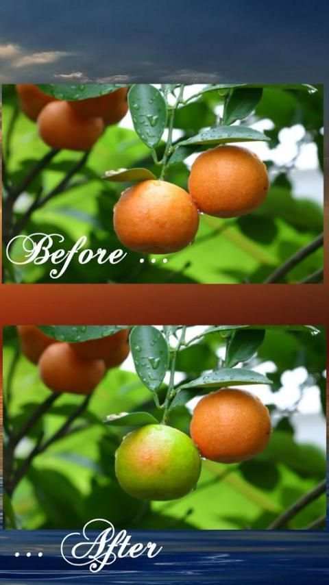 Easy Photo - Edit & Effect screenshot 7