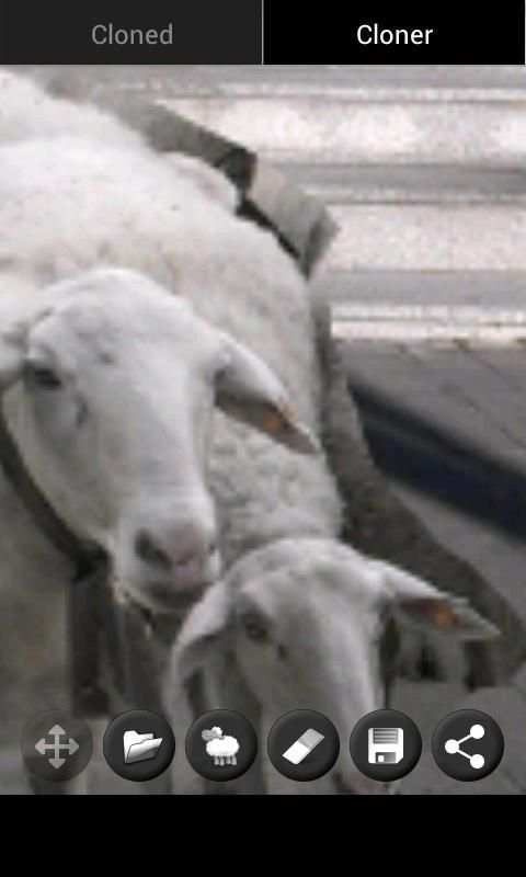 Clone Photo screenshot 2