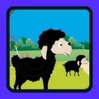 Animal - Birds Sound App