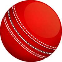 Live Cricket Score & News Update