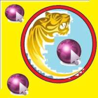 Apna Browser Punjabi