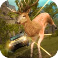 Deer Hunt Wild Sniper 3D