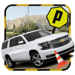 Car, bus and truck parking 3D 1.0