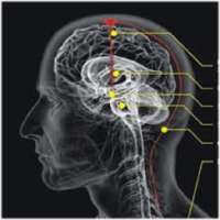 Kekuatan Diri Manusia on 9Apps