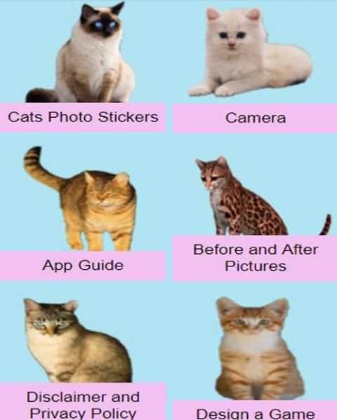 Cats Photo Editor screenshot 5