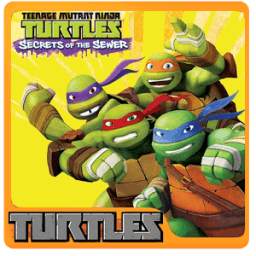 Ninja goTurtle 3.0