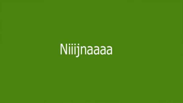 Ninja Go Turtle screenshot 1