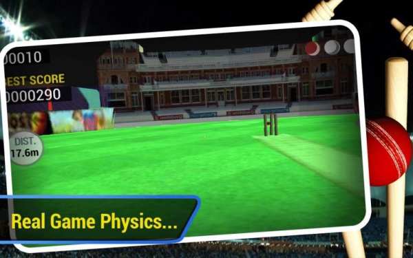 Cricket Run Out 3D screenshot 2