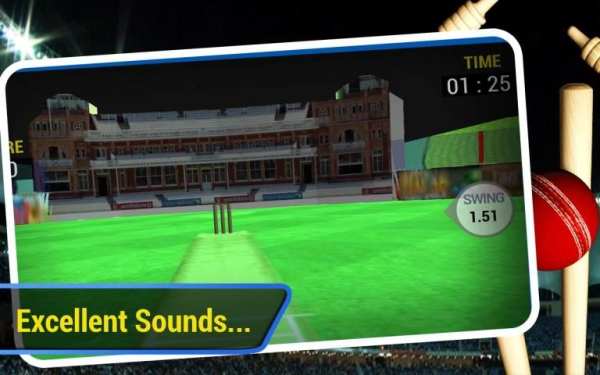 Cricket Run Out 3D screenshot 3