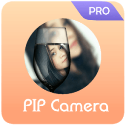 ikon PIP Camera Pro 2017