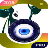 Profesyonel HD Camera on 9Apps