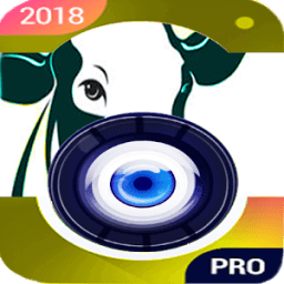 ikon Profesyonel HD Camera