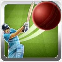 Quick Cricket