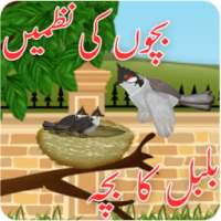 Bachon Ki Urdu Nazmain – Bulbul Ka Bacha Urdu Poem