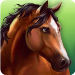 HorseHotel - Care for horses