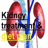 Kidney treatment and diet plan in ayurveda