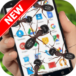 ikon Ants on Screen (Funny Prank)