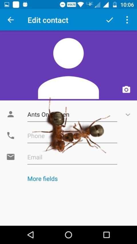 Ants on Screen (Funny Prank) screenshot 6