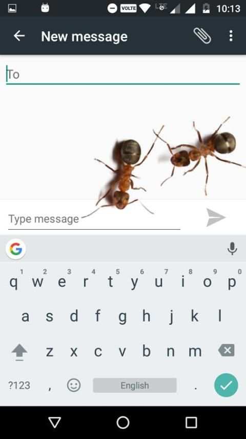 Ants on Screen (Funny Prank) screenshot 5