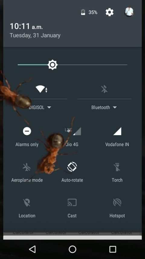 Ants on Screen (Funny Prank) screenshot 3
