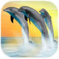 Dolphin Live Wallpapers on 9Apps