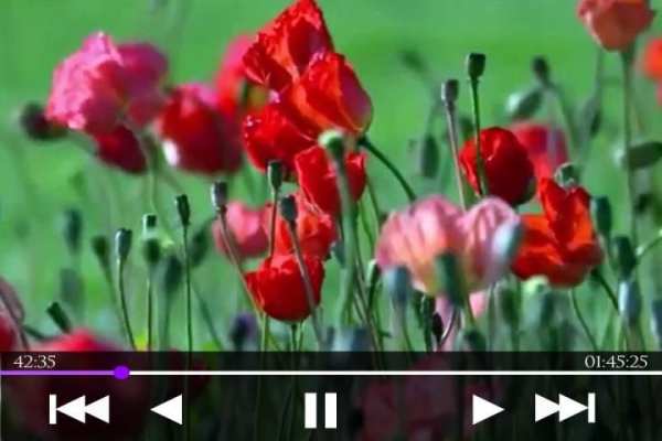 Video Player скриншот 2