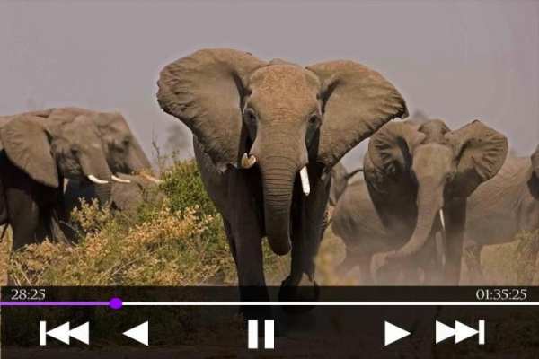 Video Player screenshot 3