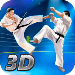 Karate Fighting Tiger 3D - 2 icon