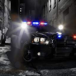 Police And Cars Free Game Jigsaw Puzzle