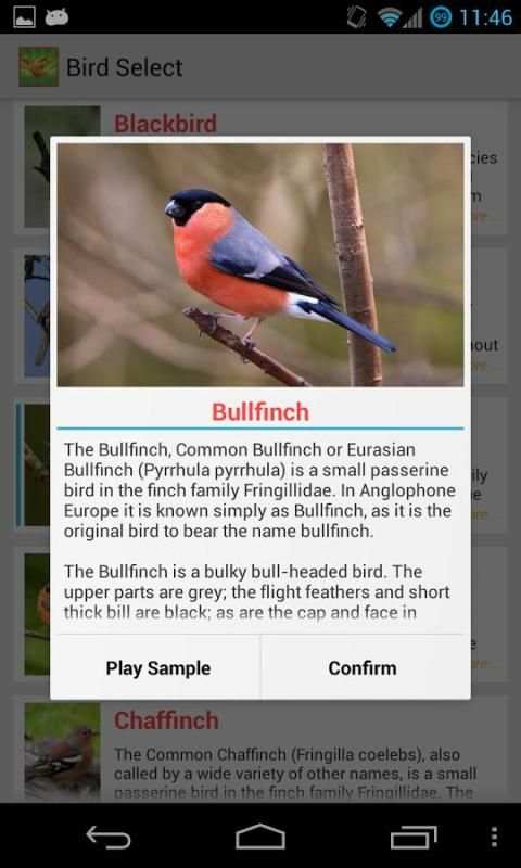 Bird Quiz Alarm Clock स्क्रीनशॉट 2