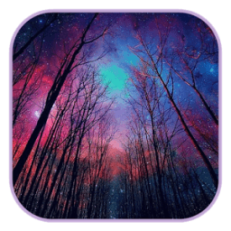 ikon Photography Wallpaper