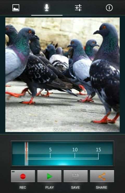 ZZ Gram - Voice your pics screenshot 1