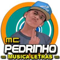 Musica Mc Pedrinho Letras Mp3 Funk Brasil 2017 on 9Apps