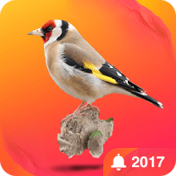 Sonneries Oiseaux Gratuites иконка