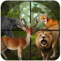 Sniper Animal Hunting 3D 1.0