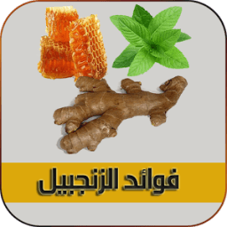 فوائد الزنجبيل بدون نت आइकन