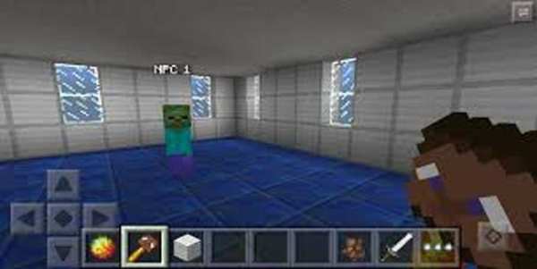 New Ultimate NPCs PE Mod screenshot 2
