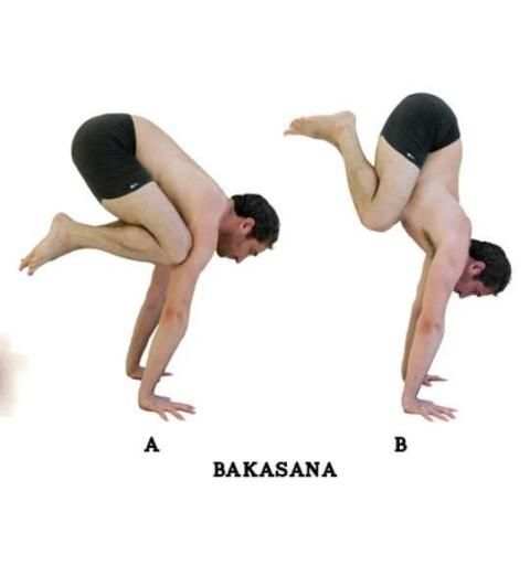Ashtanga Yoga Tutorial screenshot 5