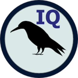 Raven IQ Test आइकन