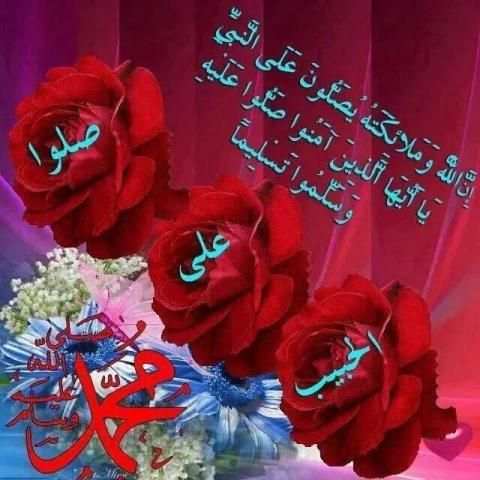 ذكرى المولد النبوي الشريف لسنة 2018 screenshot 1