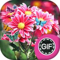Flower GIF and Images on 9Apps