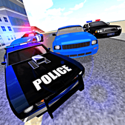 Police Car Chase Driving 3D أيقونة