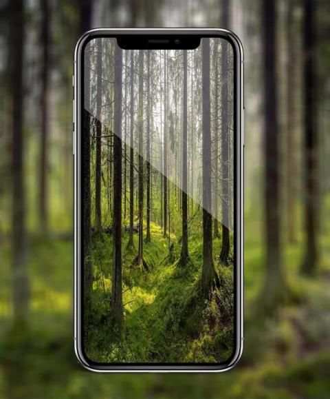 HD Camera Pro - Hd Photo For iphone X screenshot 2